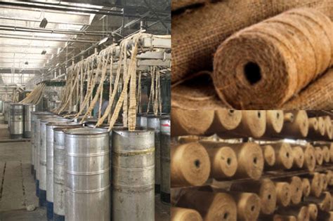  Jute, Textile Goldmine pour une Industrie Durable et Responsable !