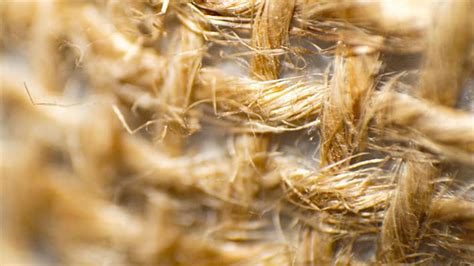 Jute: Une Fibre Naturelle pour le Renforcement Durable et l'Isolation Thermique Éco-Responsable !